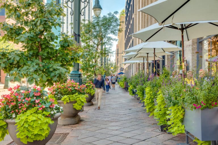 sidewalk decorated with trees and flowers outside an office building